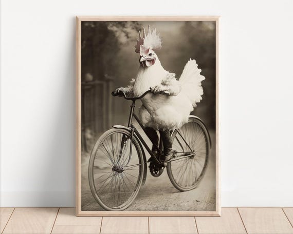 Chicken Riding A Bike Poster Or Canvas Funny Animal Wall Art Retro Vintage Style Home Decor Cute Kids Nursery Room Print Quirky Humor
