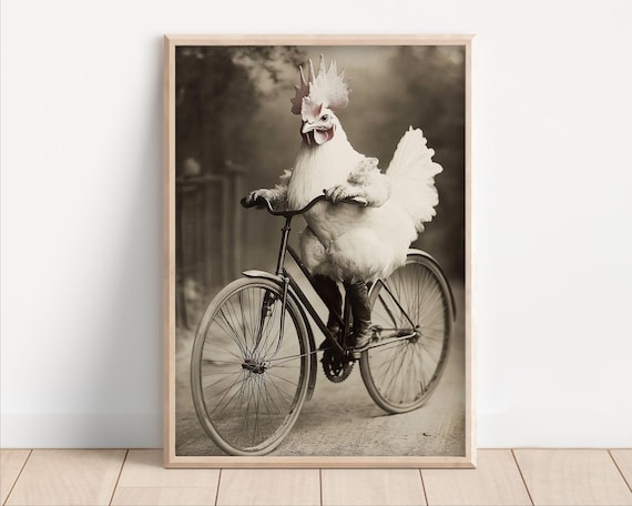 Funny White Rooster Riding Antique Bicycle Sepia Farmhouse Poster