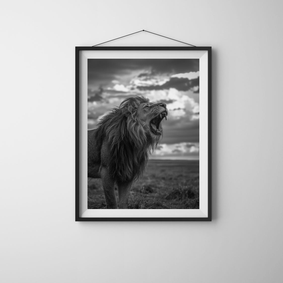 Roaring Lion Fine Art Black White Wildlife Photography Print
