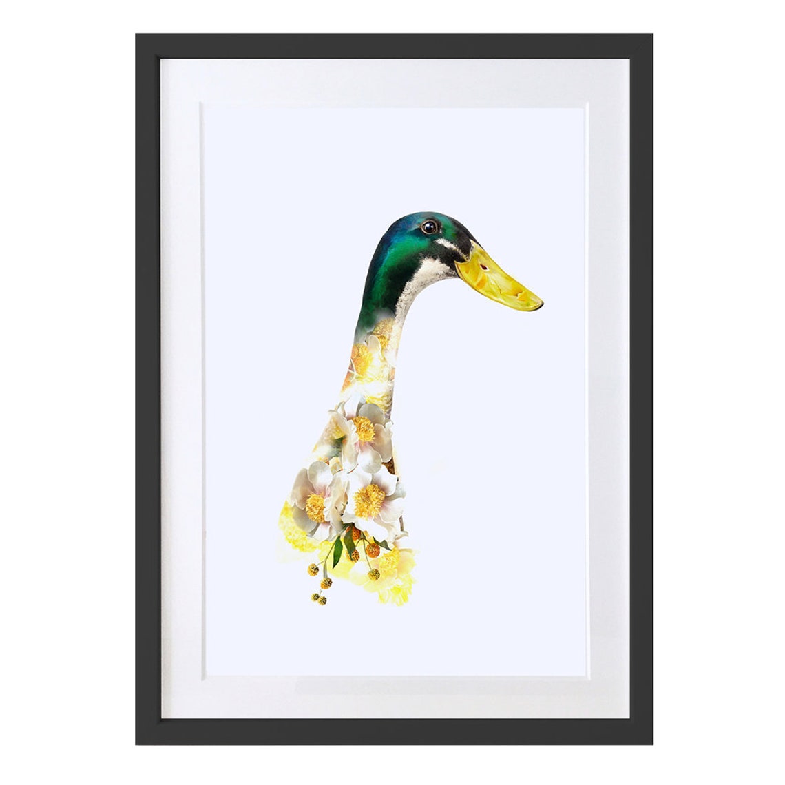 Indian Runner Duck Bird Art Print
