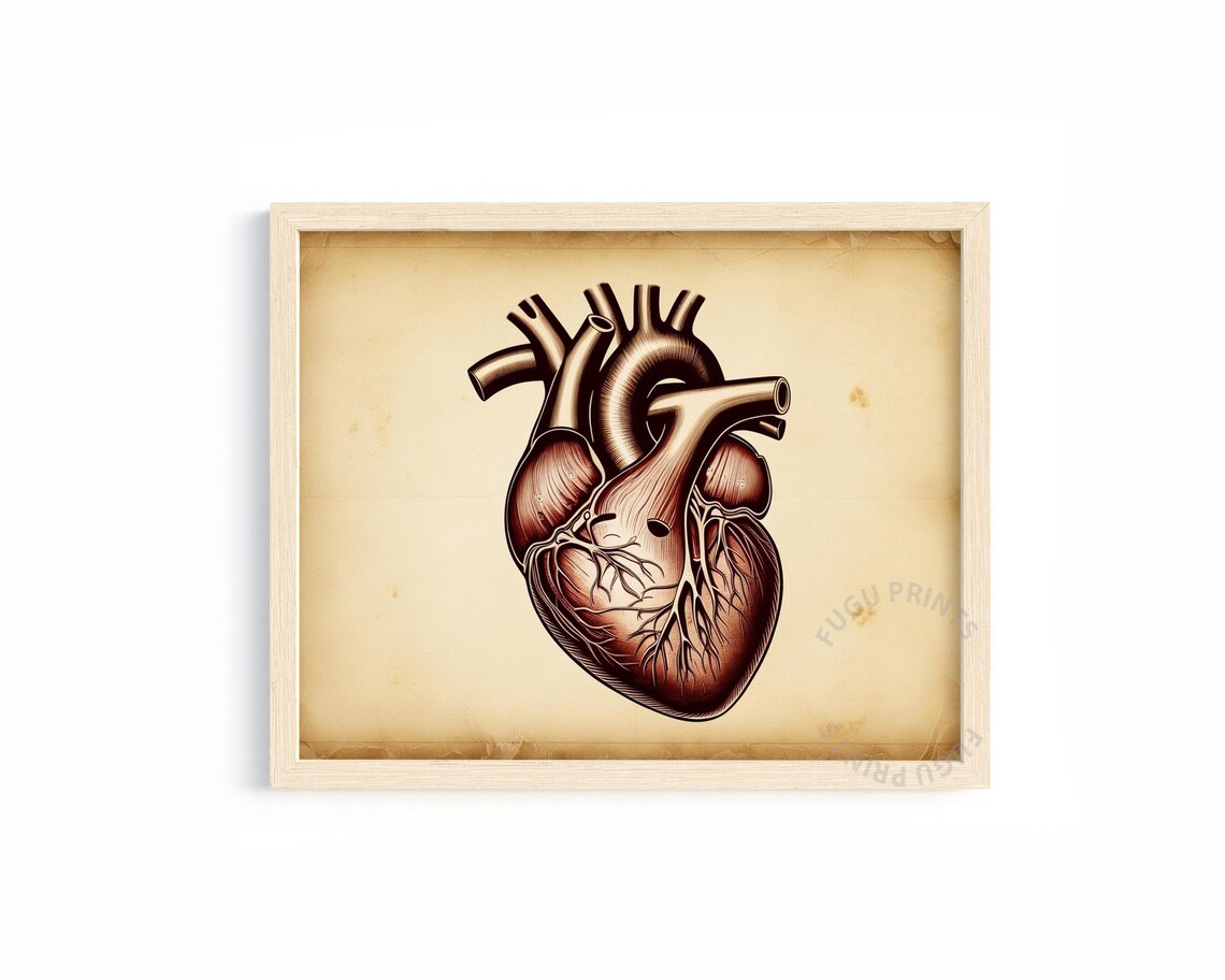 Anatomical Heart, Vintage Style Medical Art Print