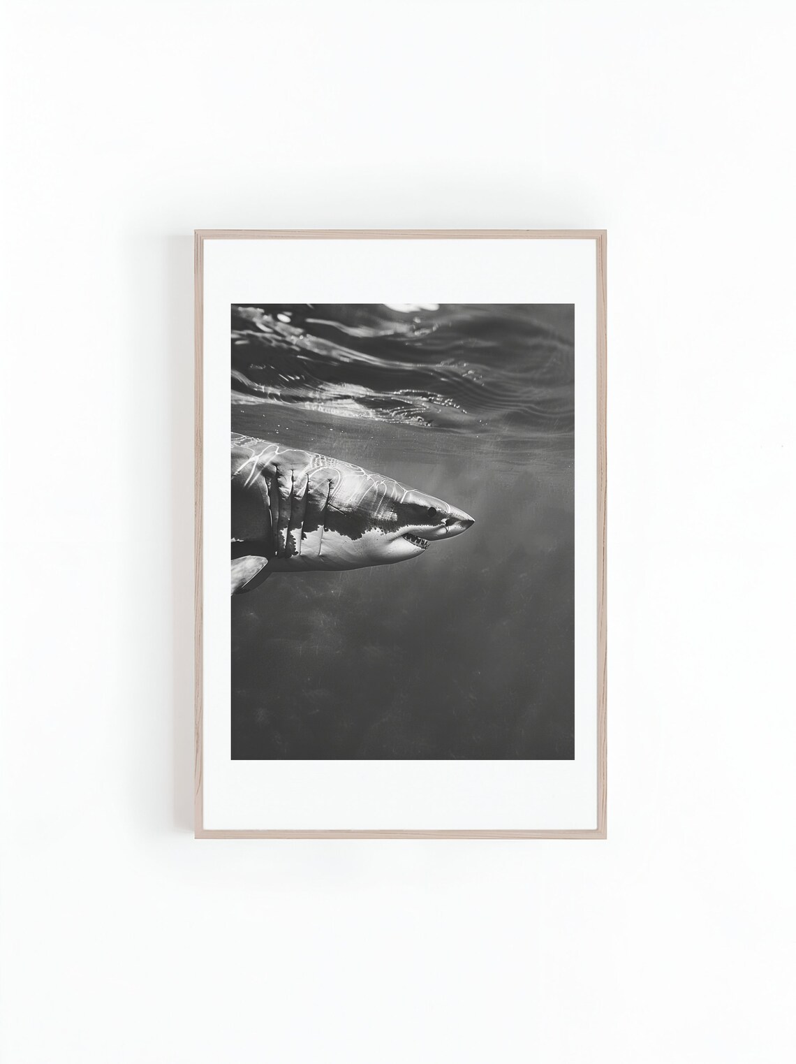 Great White Shark Near Surface Black And White Ocean Photo Poster