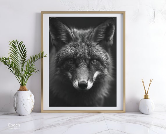 Forest Fox Photo, Wildlife Art Print