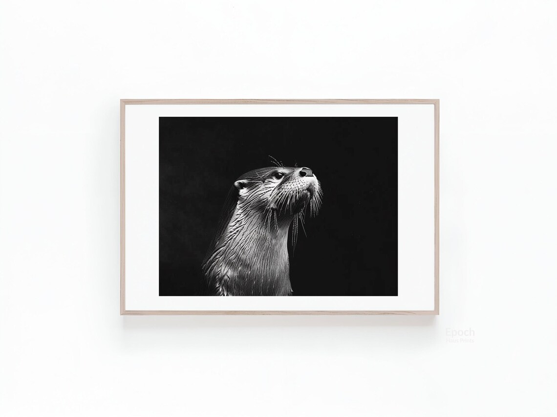 Otter Portrait Against a Dark Background in Black and White Poster - Image 3