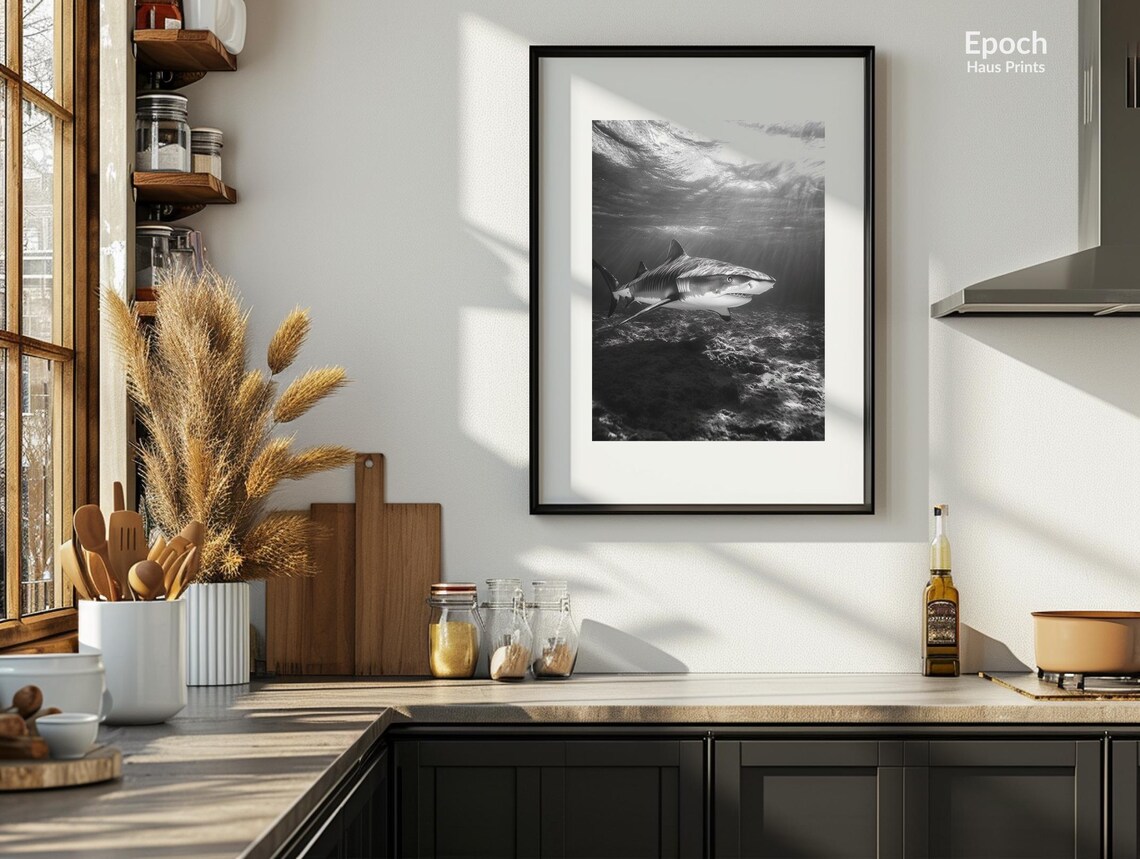 Black And White Tiger Shark Over A Rocky Reef Photography Poster - Image 3