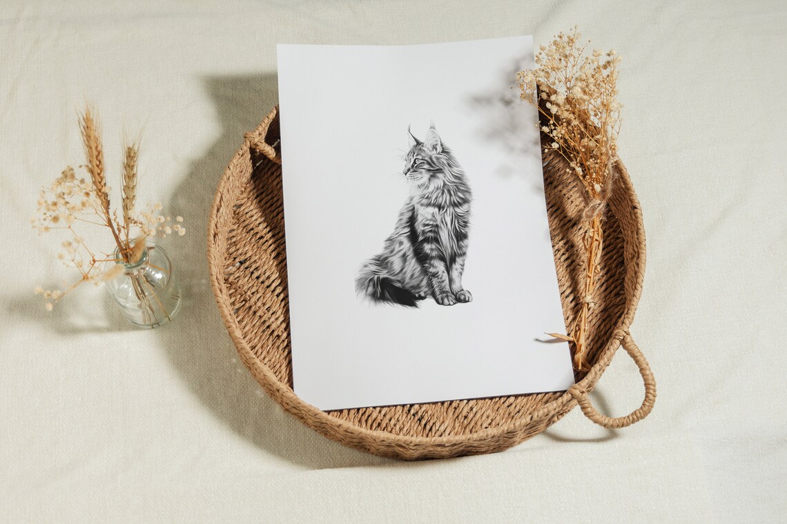 Maine Coon Cat Long Hair Pencil Sketch Pet Portrait Minimalist Art Print - Image 2