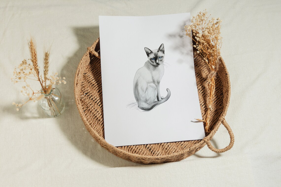 Siamese Cat Blue Eyes Sitting Pencil Sketch Pet Portrait Minimalist Art Print - Image 3