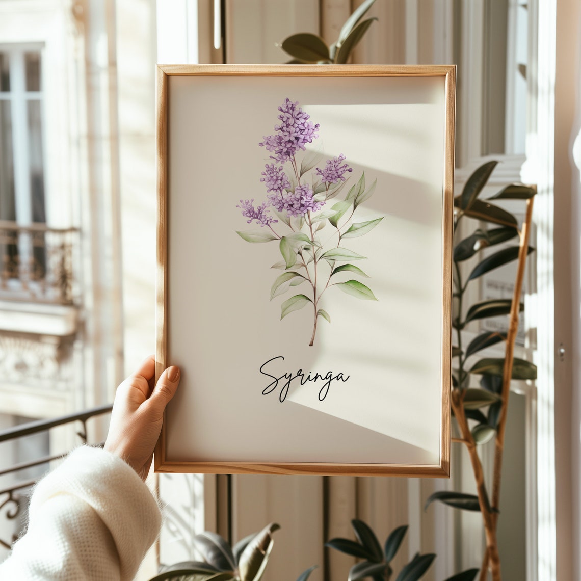 Syringa Lilac Botanical Watercolor State Flower Minimalist Art Print