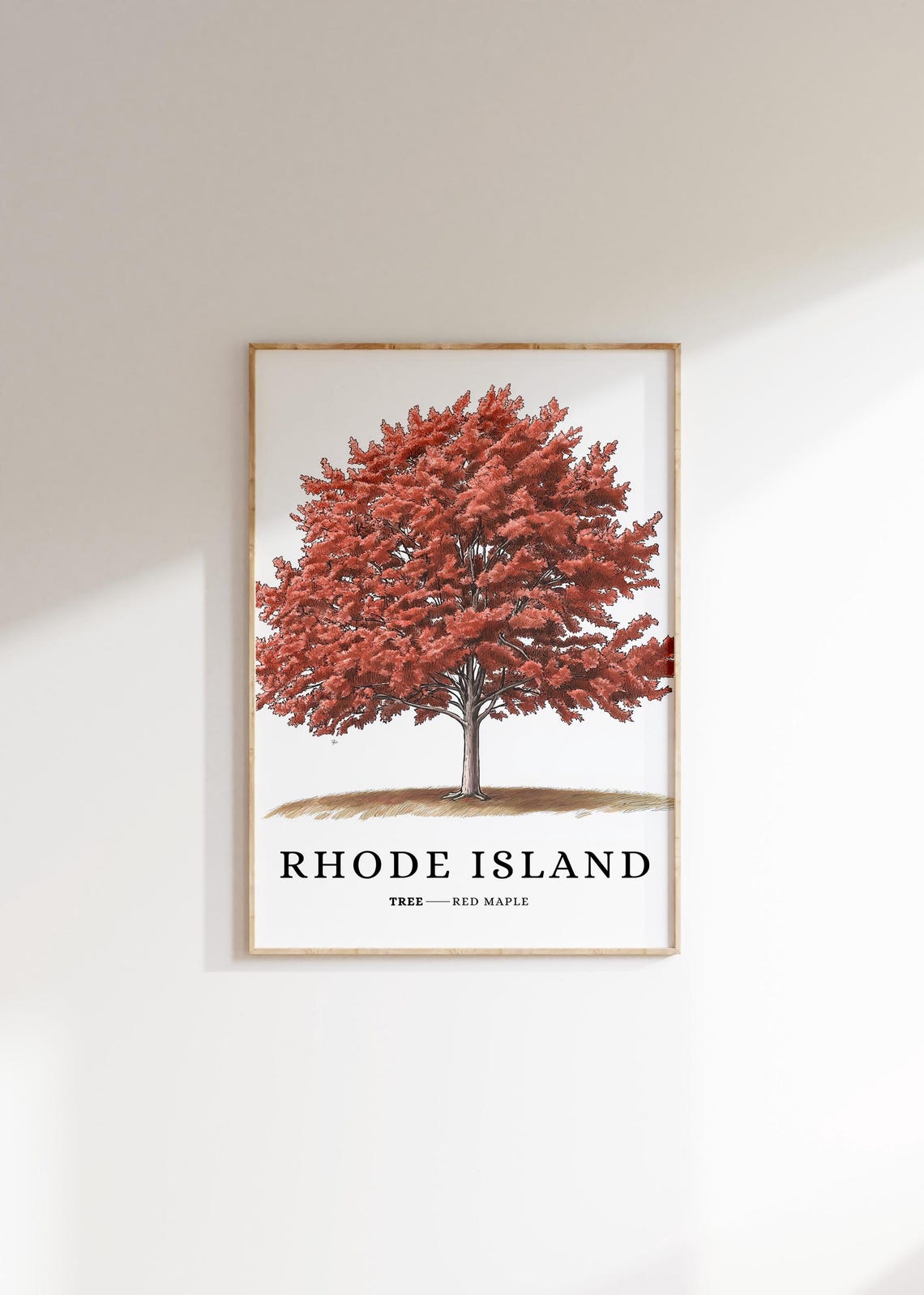 Rhode Island Red Maple Crimson Fall Botanical State Tree Poster