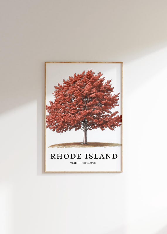 Rhode Island State Tree Print Red Maple Tree Northern Wall Art State Symbol Art Minimalist Home Decor Botanical Art