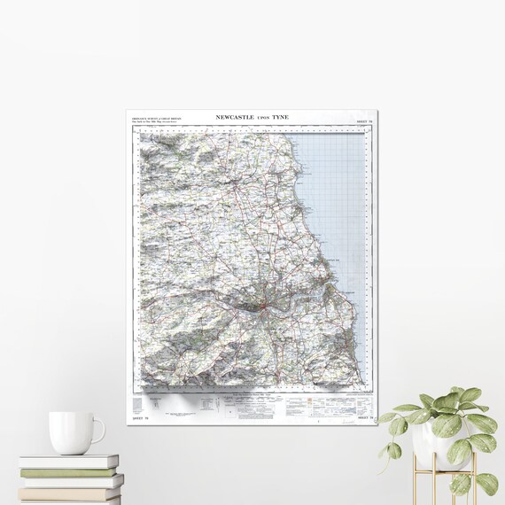 Newcastle Upon Tyne Flat 2d Shaded Map Vintage Style Print Poster Wall Art Decor