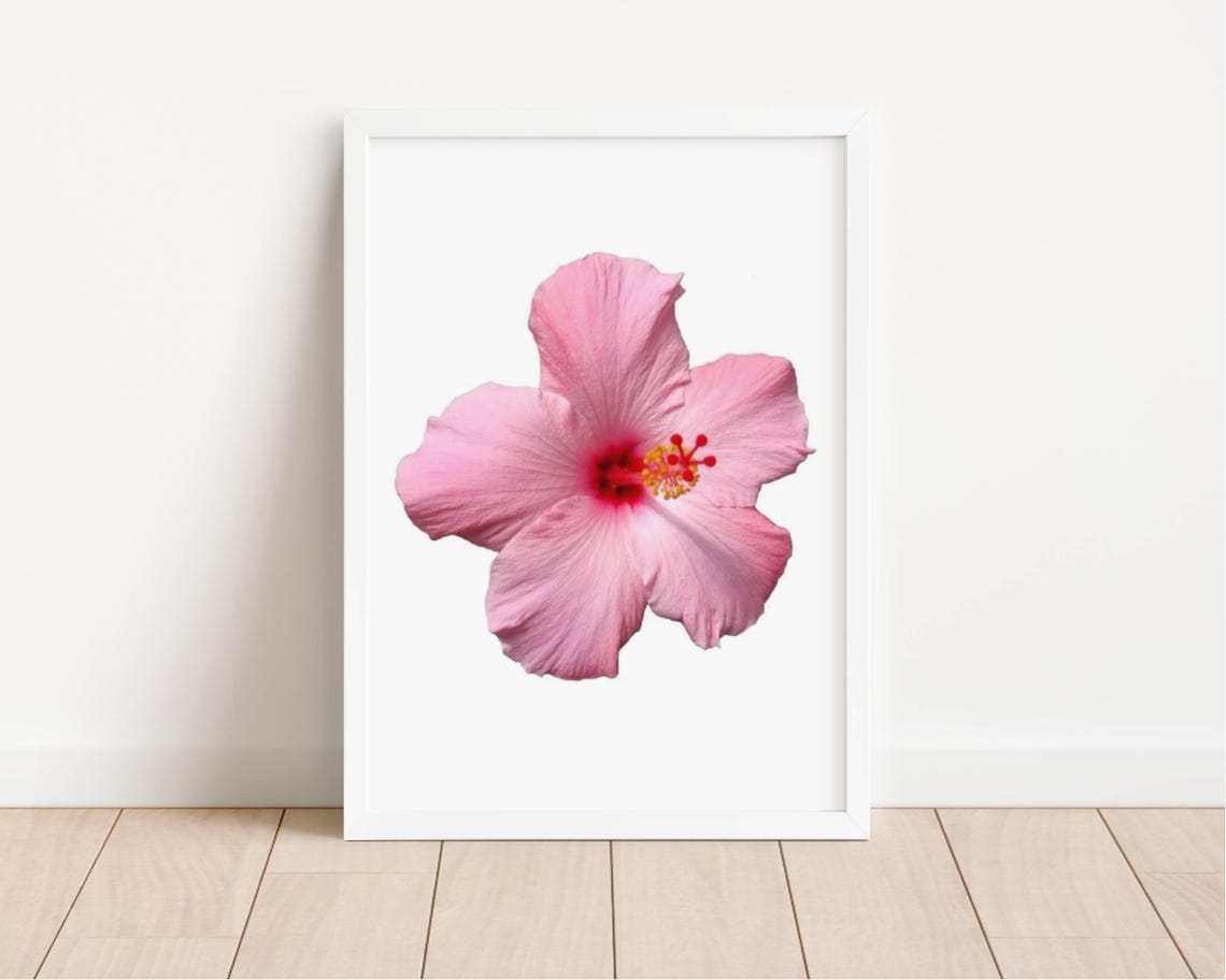 Pink Hibiscus Single Bloom Photo Style Tropical Flower Wall Art - Image 2