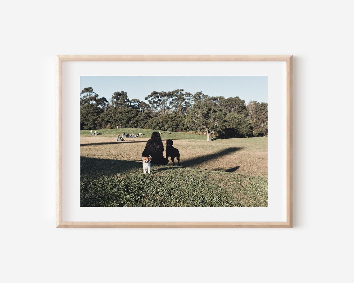 Sydney Park Afternoon Woman With Dogs Field Photo Art Poster