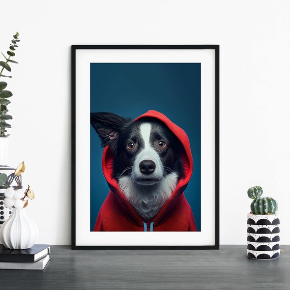 Border Collie In Red Hoodie Teal Background Funny Dog Poster