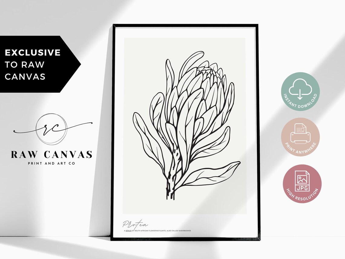 Protea Line Art, Minimalist Botanical Poster