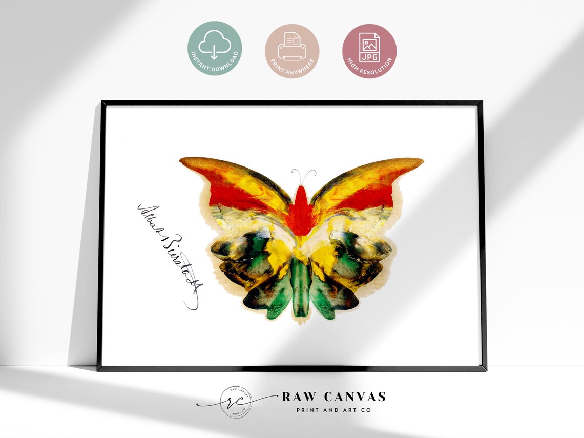 Yellow Butterfly Print, Vintage Botanical Art