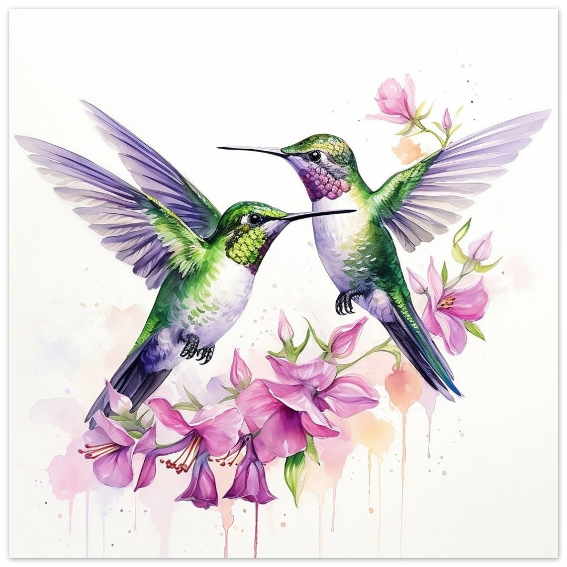 Two Hummingbirds With Pink Flowers Watercolour Garden Bird Poster - Image 4
