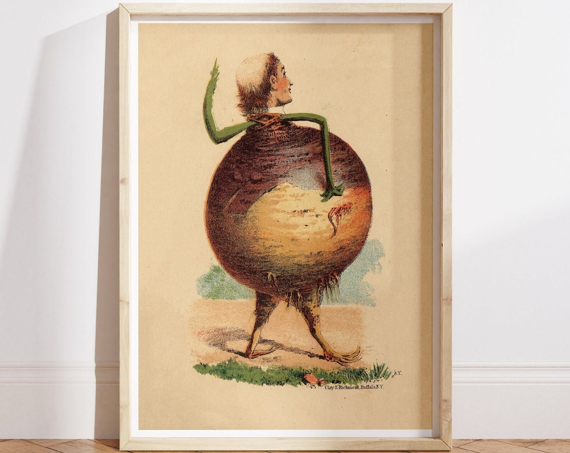 Victorian Onion Man Vintage Kitchen Art Print