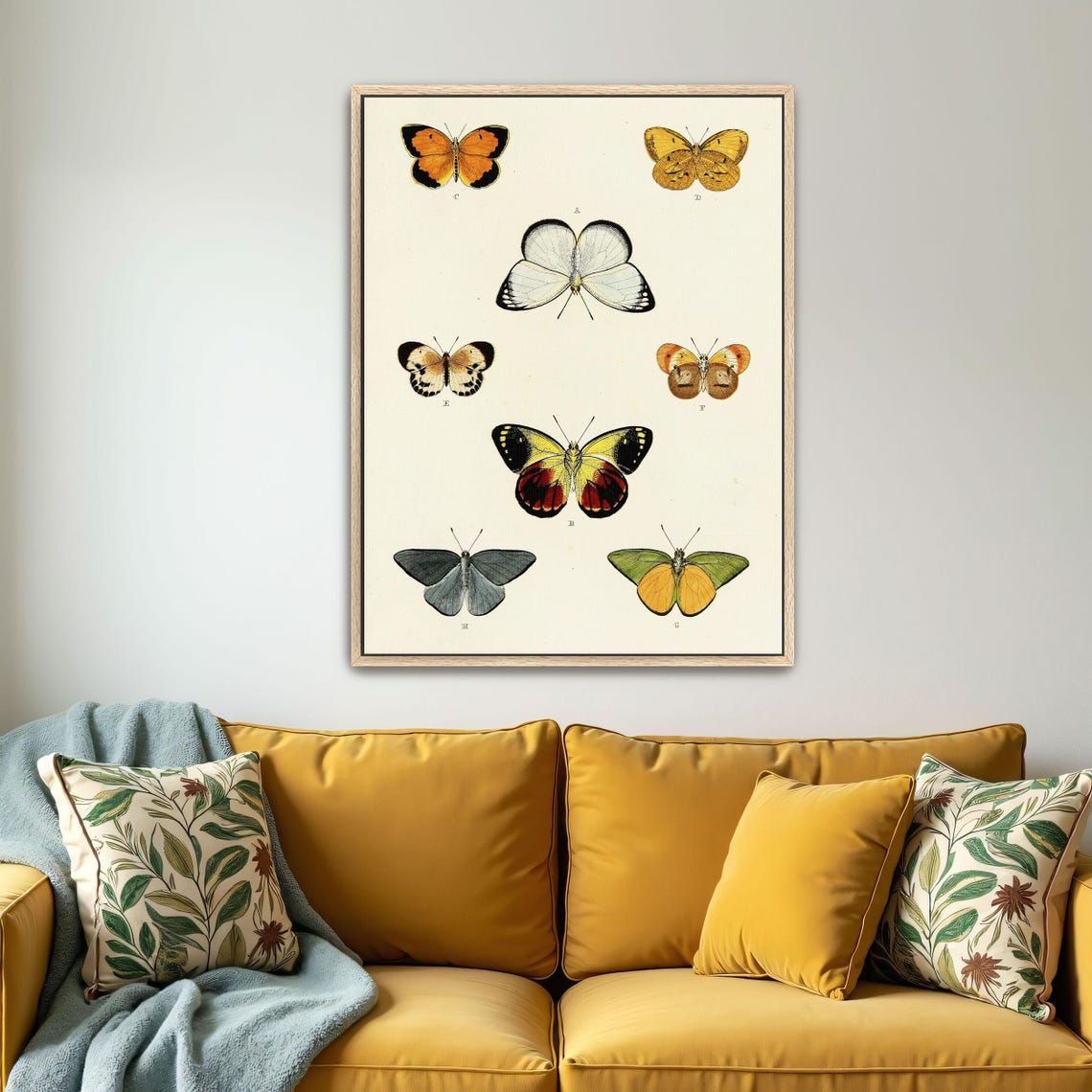 Large Framed Print Of Collection Of Butterflies On A White Page Animal Print White And Yellow Bedroom Art Print - Image 5