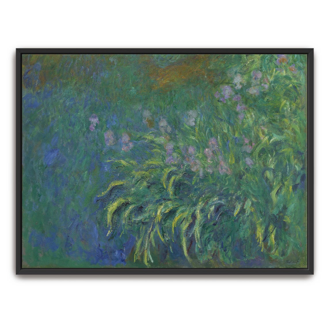 Purple Irises In A Green Garden Impressionist Floral Painting Poster