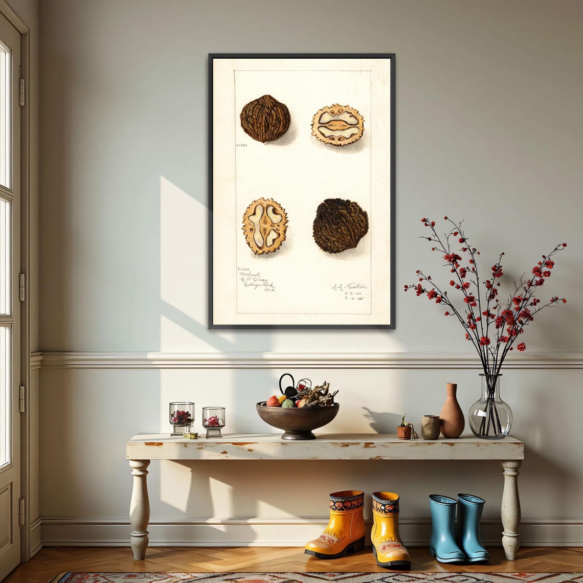 Walnuts Whole And Cross Section Vintage Botanical Study Poster
