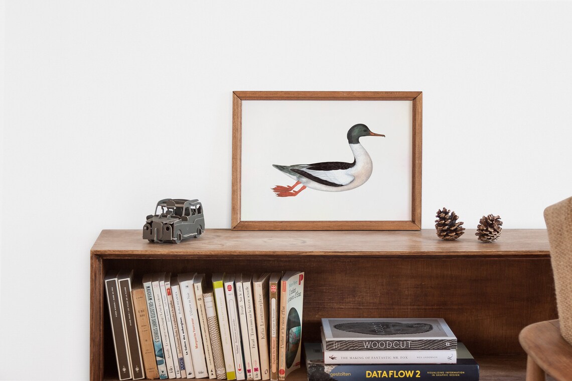 Vintage Duck Print, Antique Bird Wall Art Print - Image 2