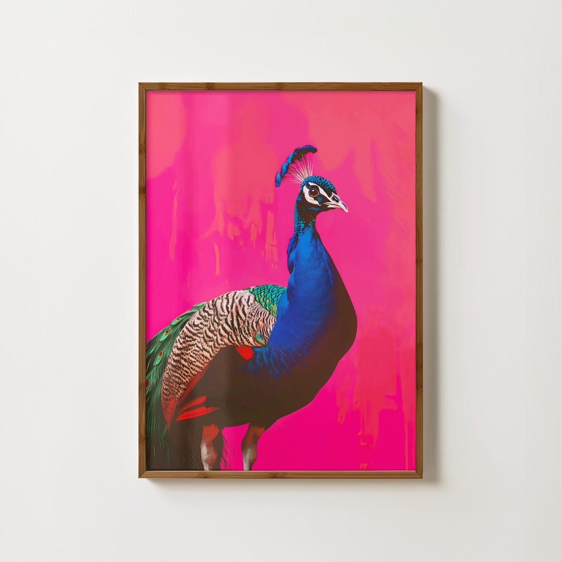 Vibrant Blue Peacock on a Hot Pink Bold Background Art Print
