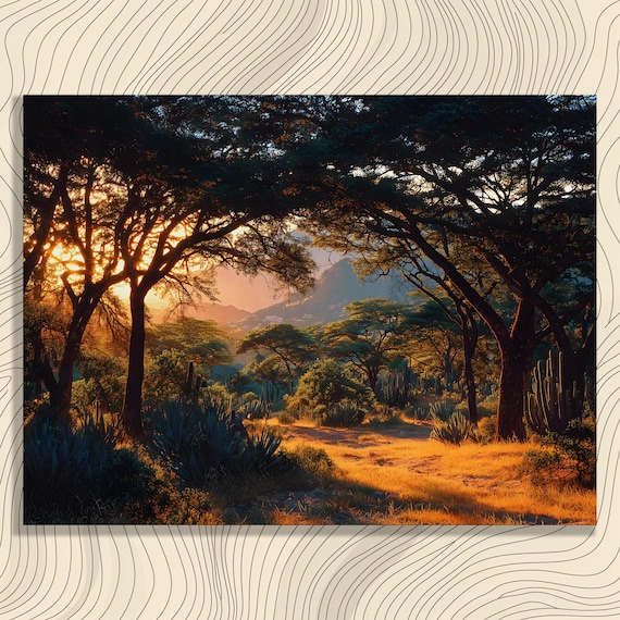 African Savanna Sunset Acacia Golden Light Desert Landscape Poster