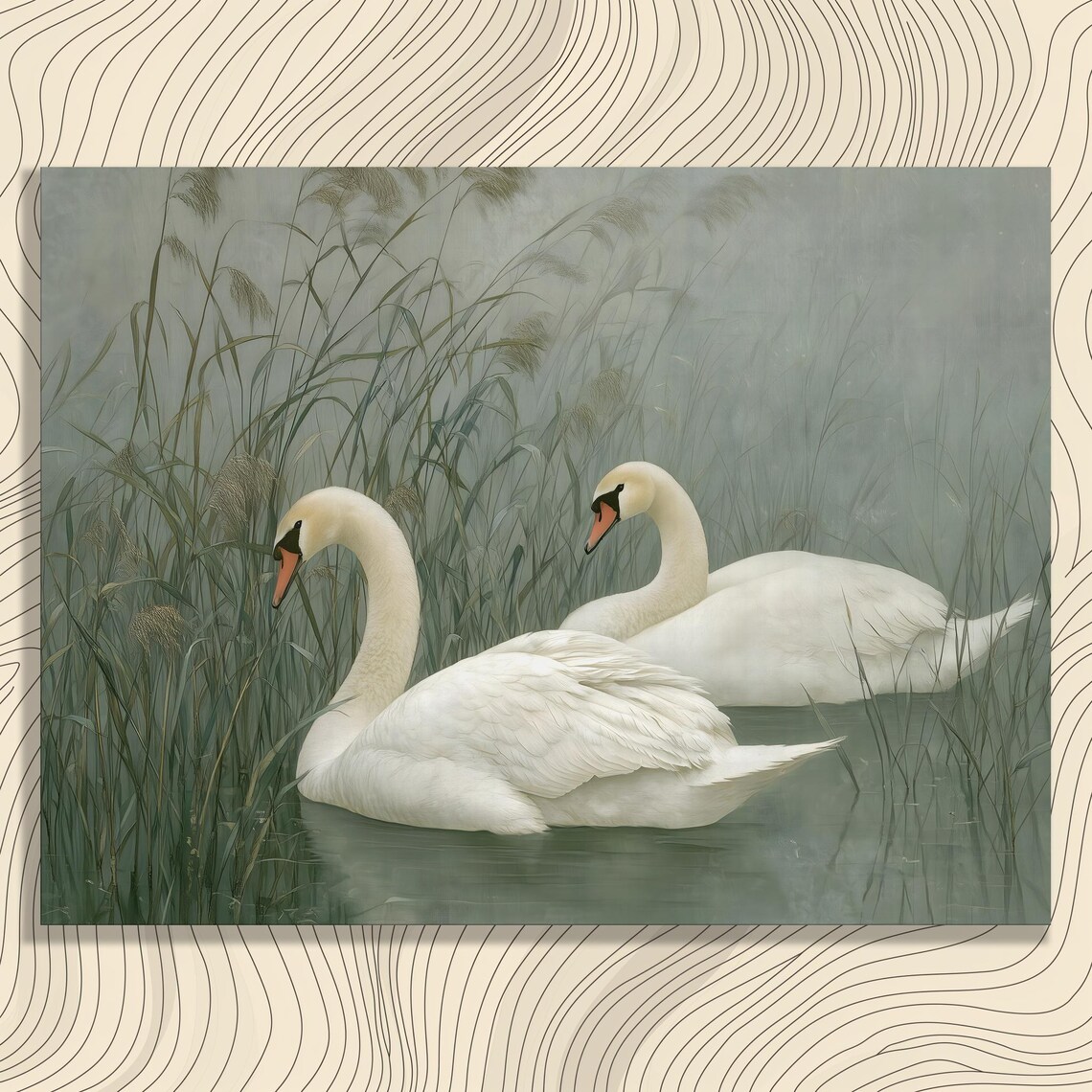 Two Mute Swans In Misty Reeds Serene Lake Wildlife Canvas Print