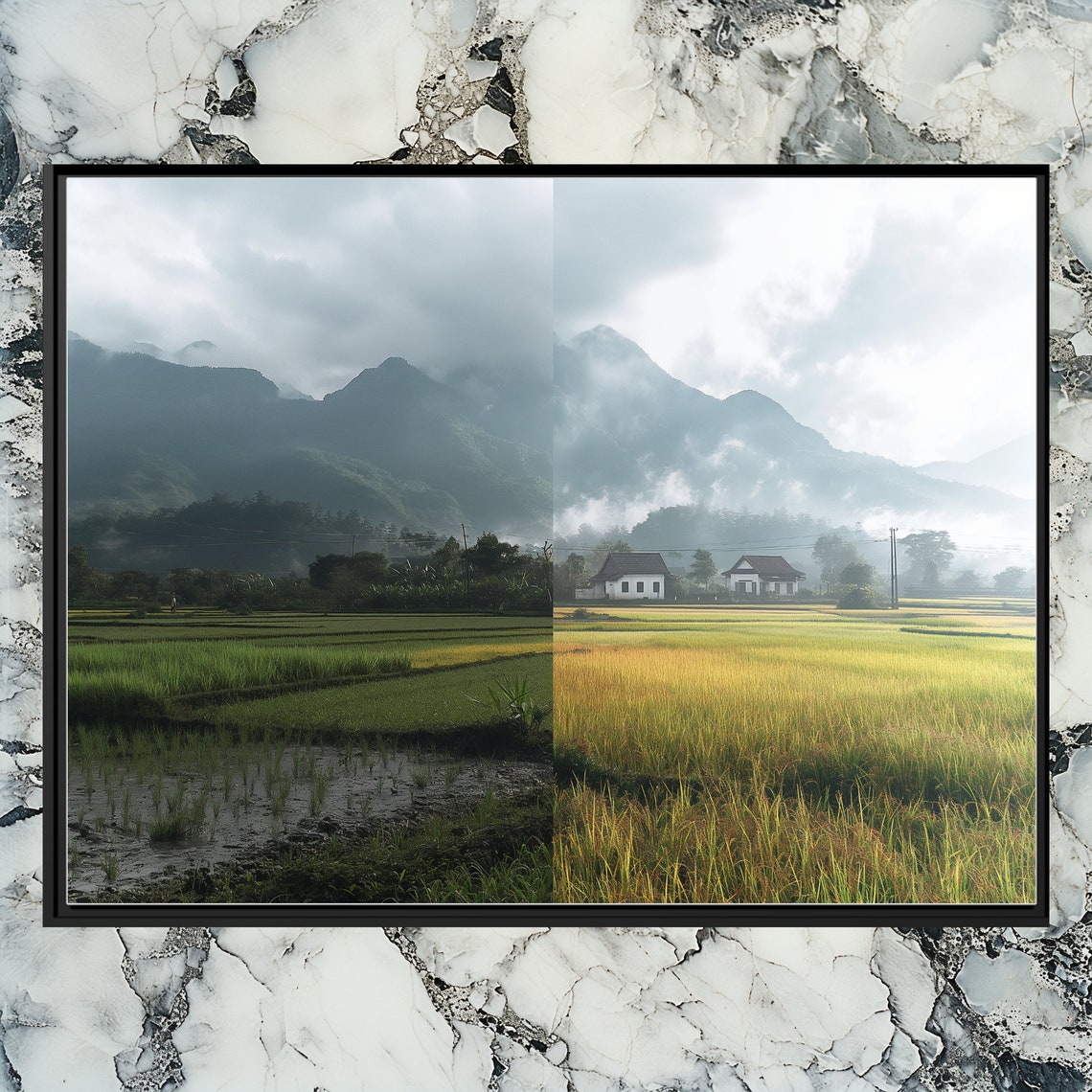 Vietnam Rice Paddy Green And Gold Fields Split Scene Art Poster