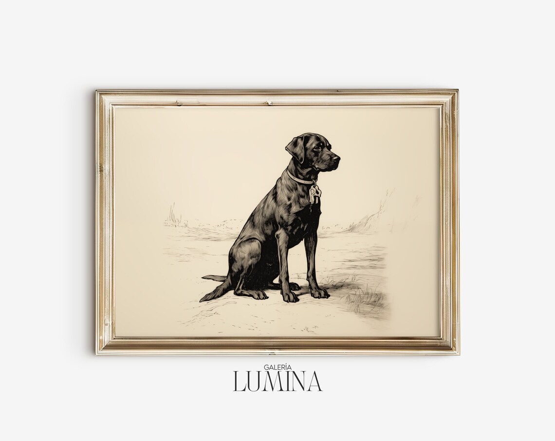 Black Labrador Ink Drawing Vintage Dog Art Print - Image 2