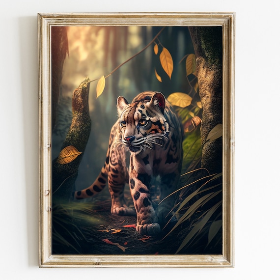 Clouded Leopard, Big Cat Animal Art Print