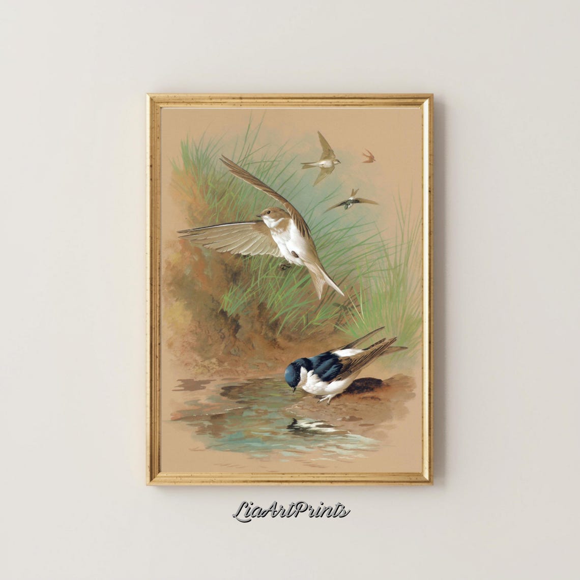 Swallows in Flight Over Water Vintage Chromolithograph Bird Art Poster - Image 4