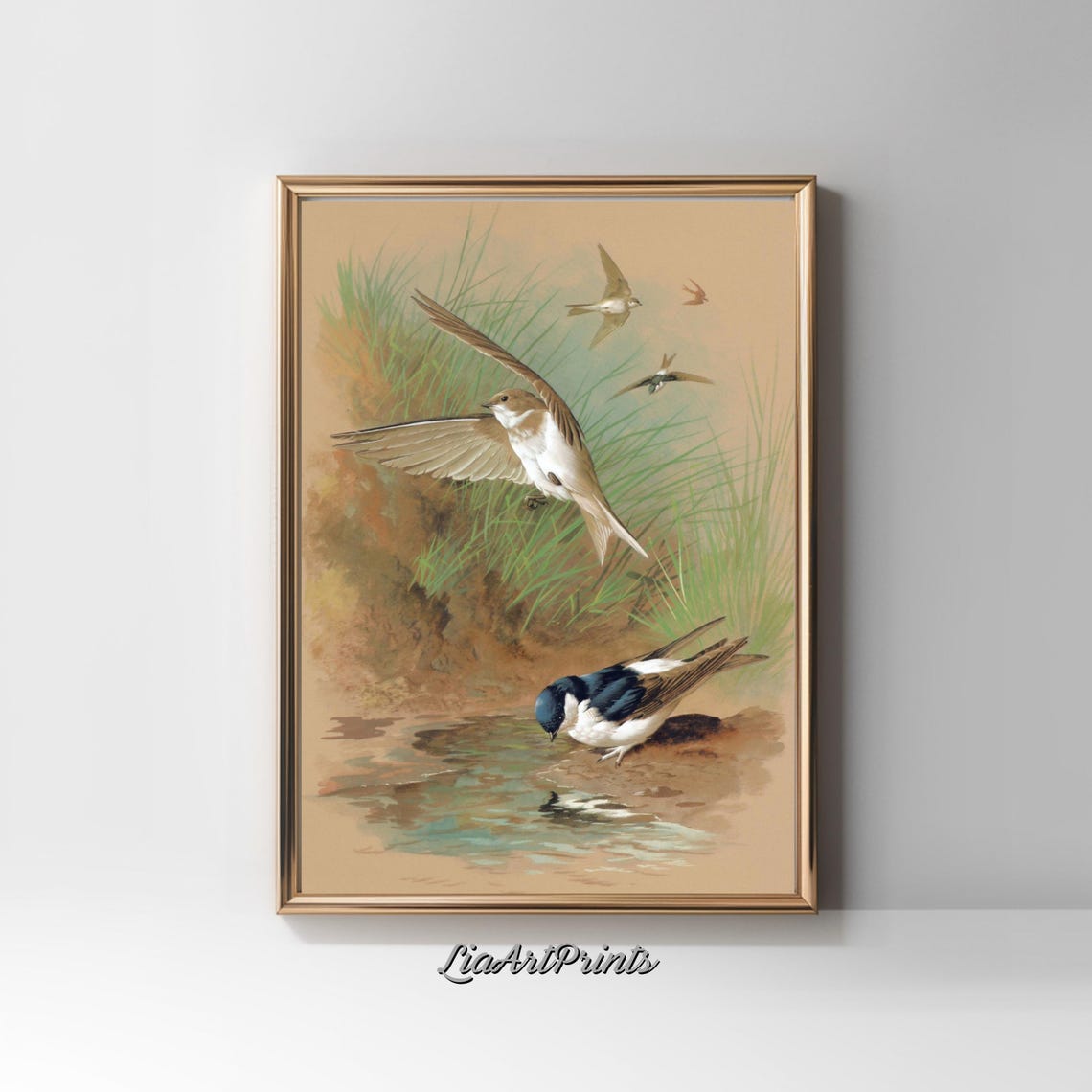 Swallows in Flight Over Water Vintage Chromolithograph Bird Art Poster - Image 3