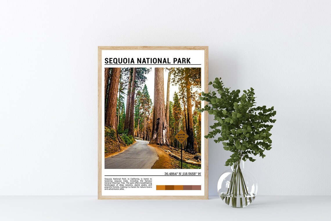 Sequoia National Park Giant Redwood Forest Road Scenic Travel Poster - Image 4