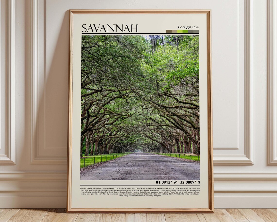 Savannah Georgia Moss Draped Oak Avenue Canopy Tree Tunnel Travel Poster