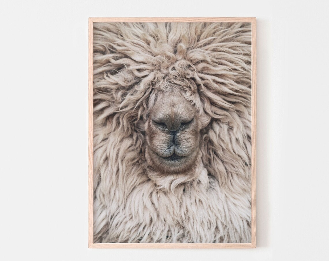 Alpaca Photography Nursery Animal Decor, Neutral Poster