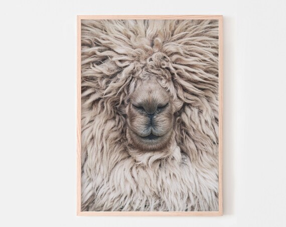 Alpaca Photography Nursery Animal Decor, Neutral Poster
