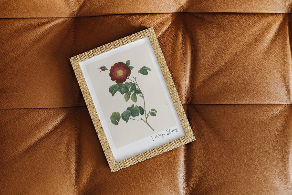 Vintage Blooms Crimson Red Rose Botanical Antique Garden Poster - Image 2