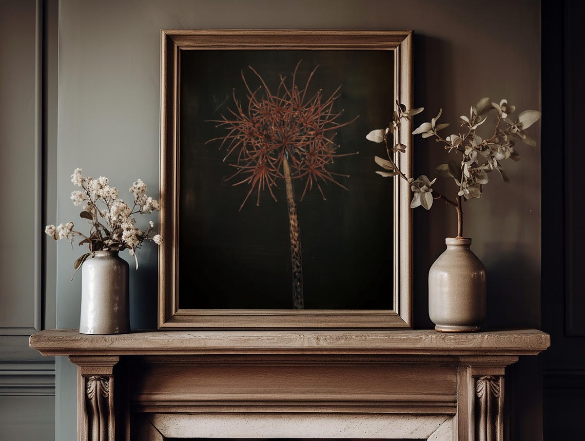 Dried Allium Seed Head Rustic Dark Botanical Minimalist Art Print - Image 4