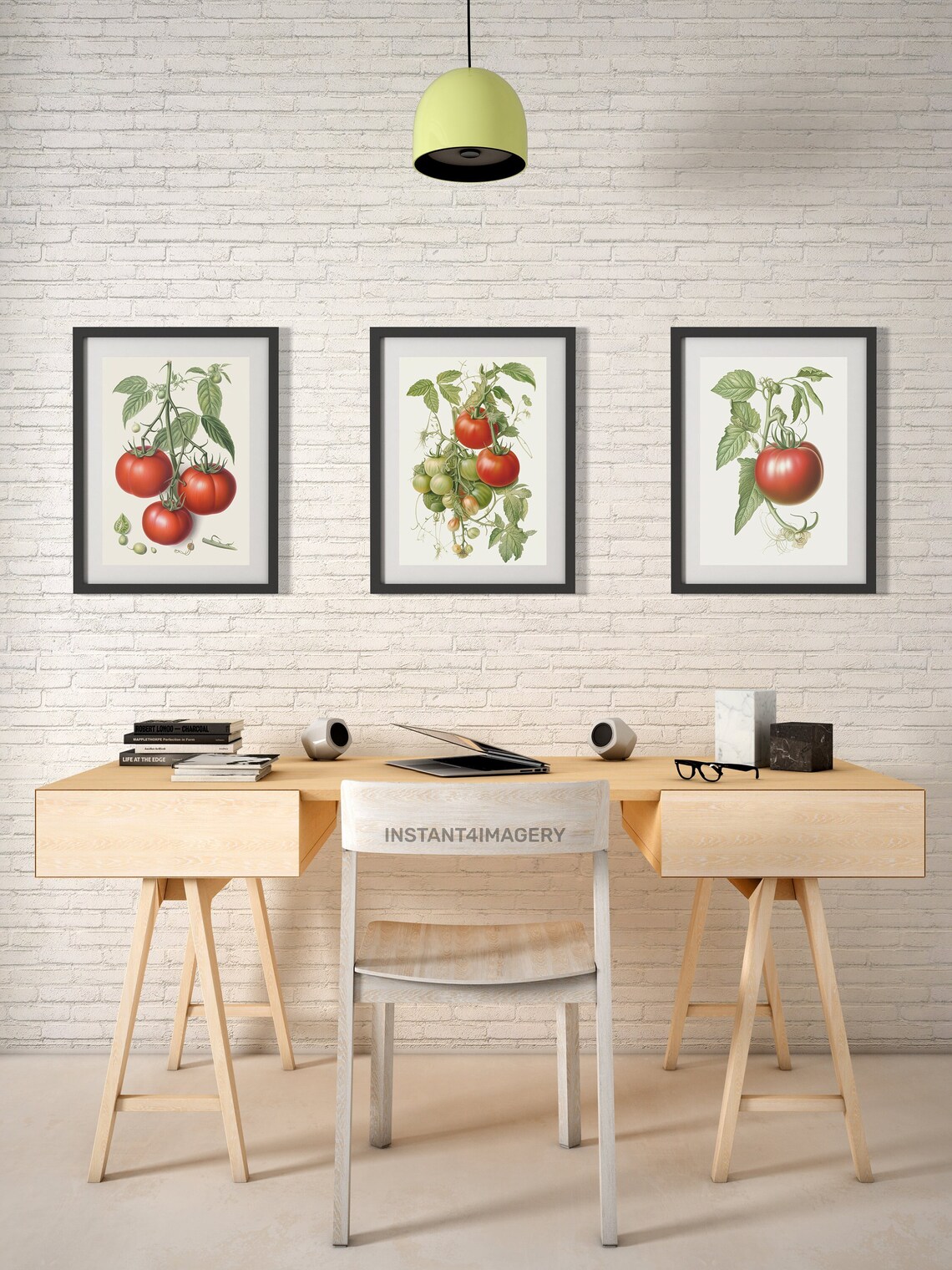 Tomato Botanical Prints Set Of 3 Antique Style Art