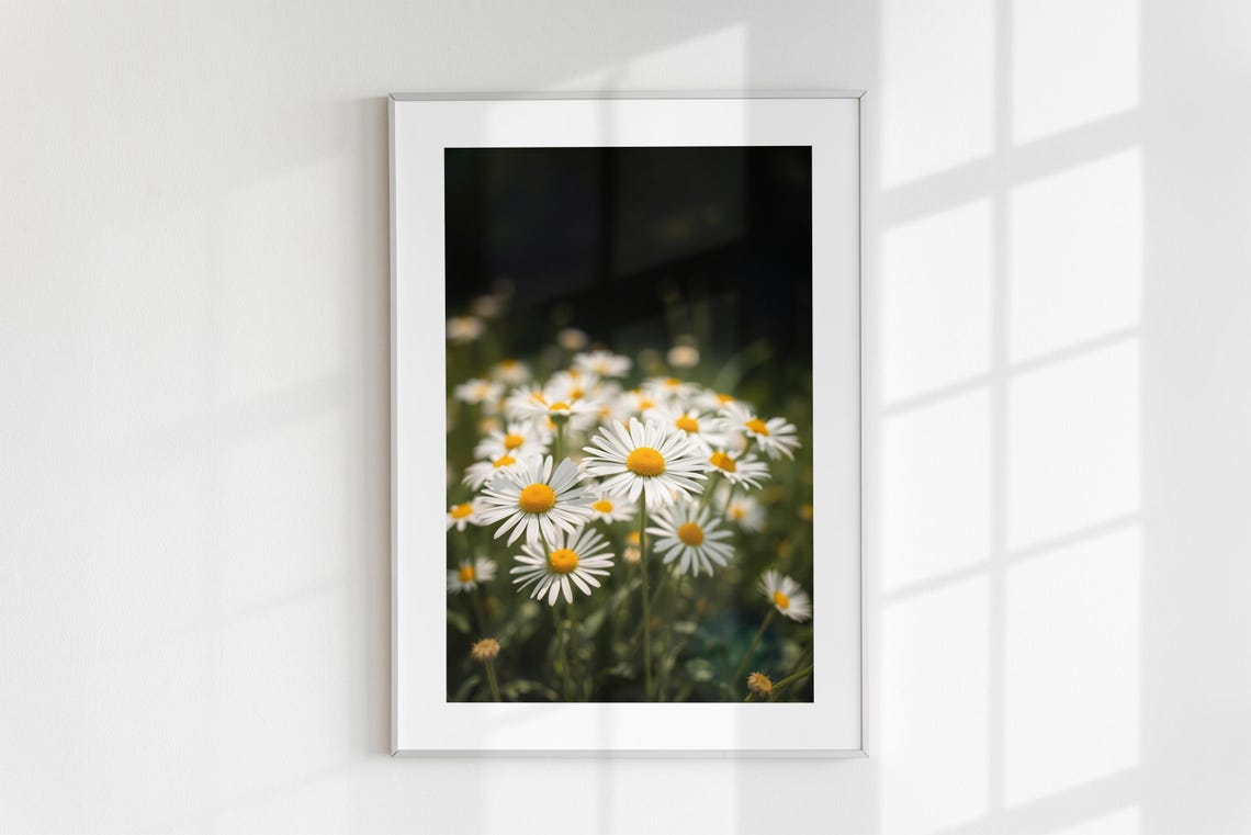 White Daisy Wildflower Field Close Up Night Garden Photo Print - Image 6
