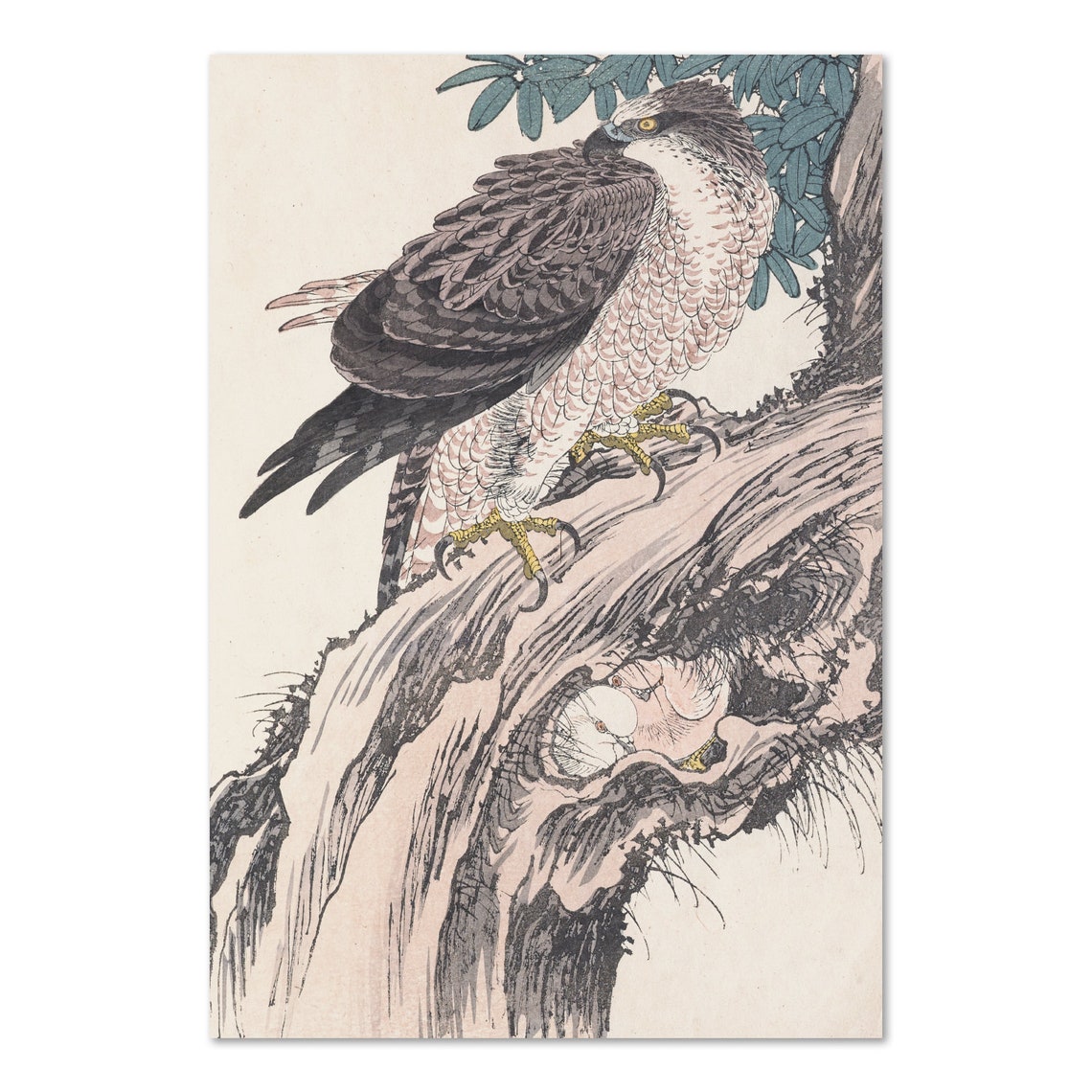 Japanese Woodblock Hawk Perched on Pine Tree Vintage Bird Poster