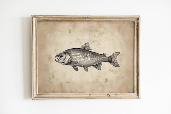 Vintage Trout Sketch Fishing Wall Art Fish Decor Lakehouse Print Boys Room Hunting Nursery Rustic Artwork