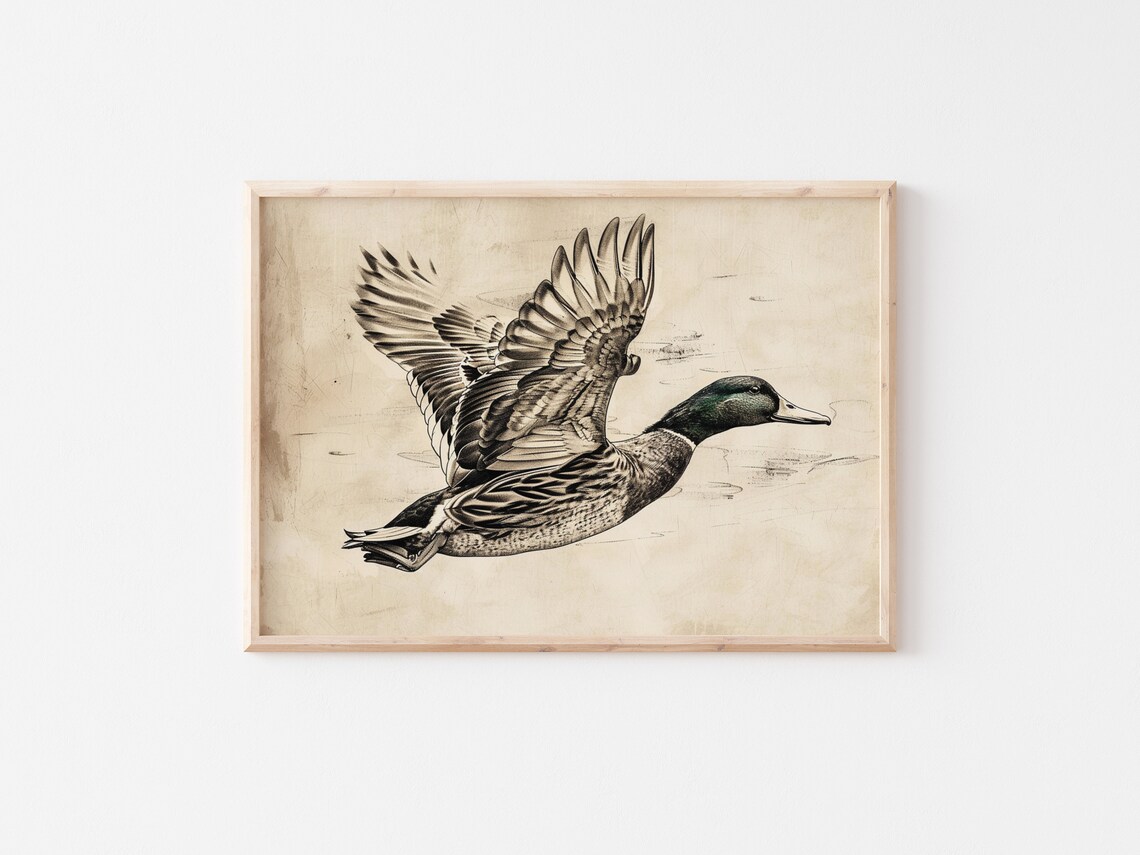 Vintage Duck Sketch Rustic Farmhouse Art Print - Image 2