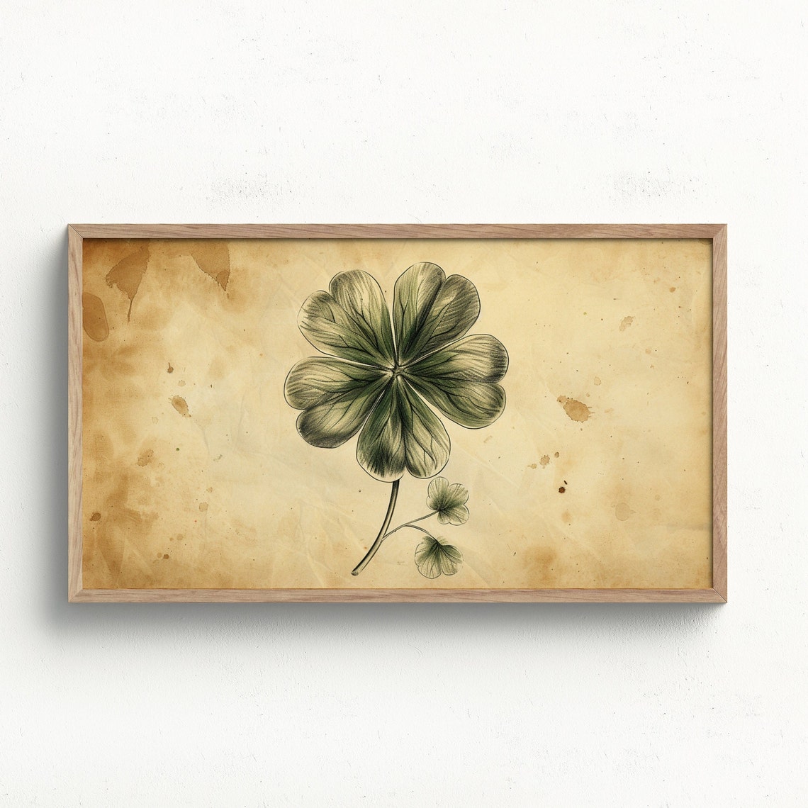 Vintage Four Leaf Clover Botanical Sketch Aged Paper Art Poster