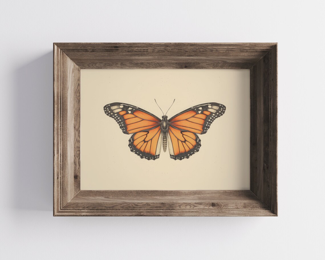 Monarch Butterfly Vintage Botanical Illustration Farmhouse Art Print - Image 2