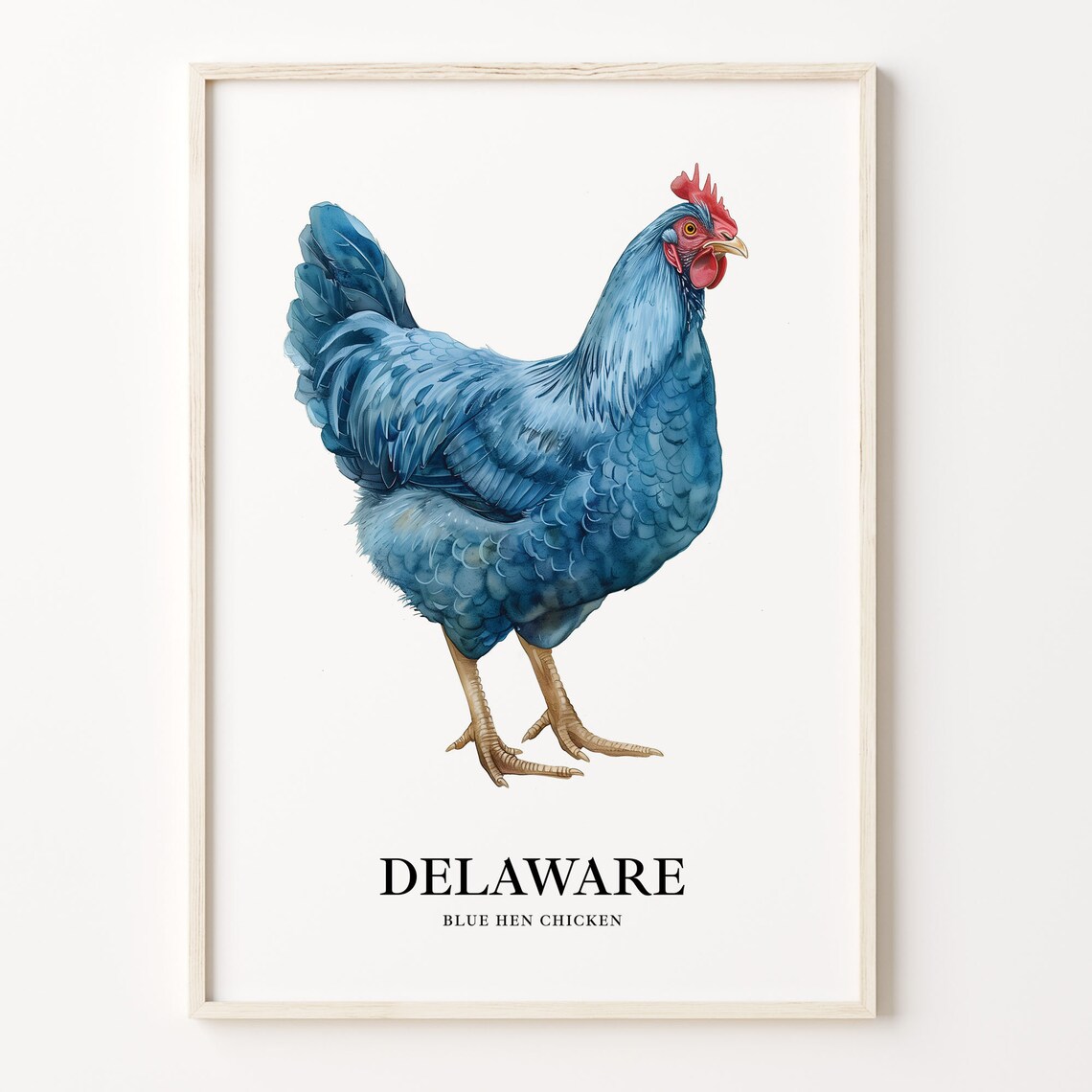 Delaware Blue Hen Chicken Watercolor Farmhouse Bird Art Poster