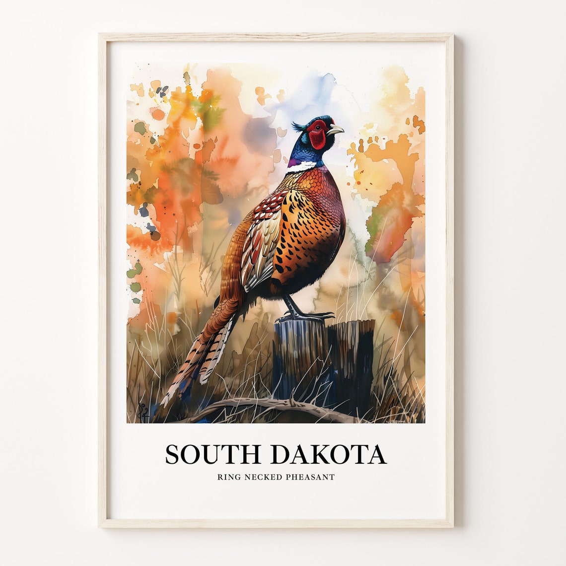 South Dakota Ring Necked Pheasant Prairie Watercolor Bird Art Poster
