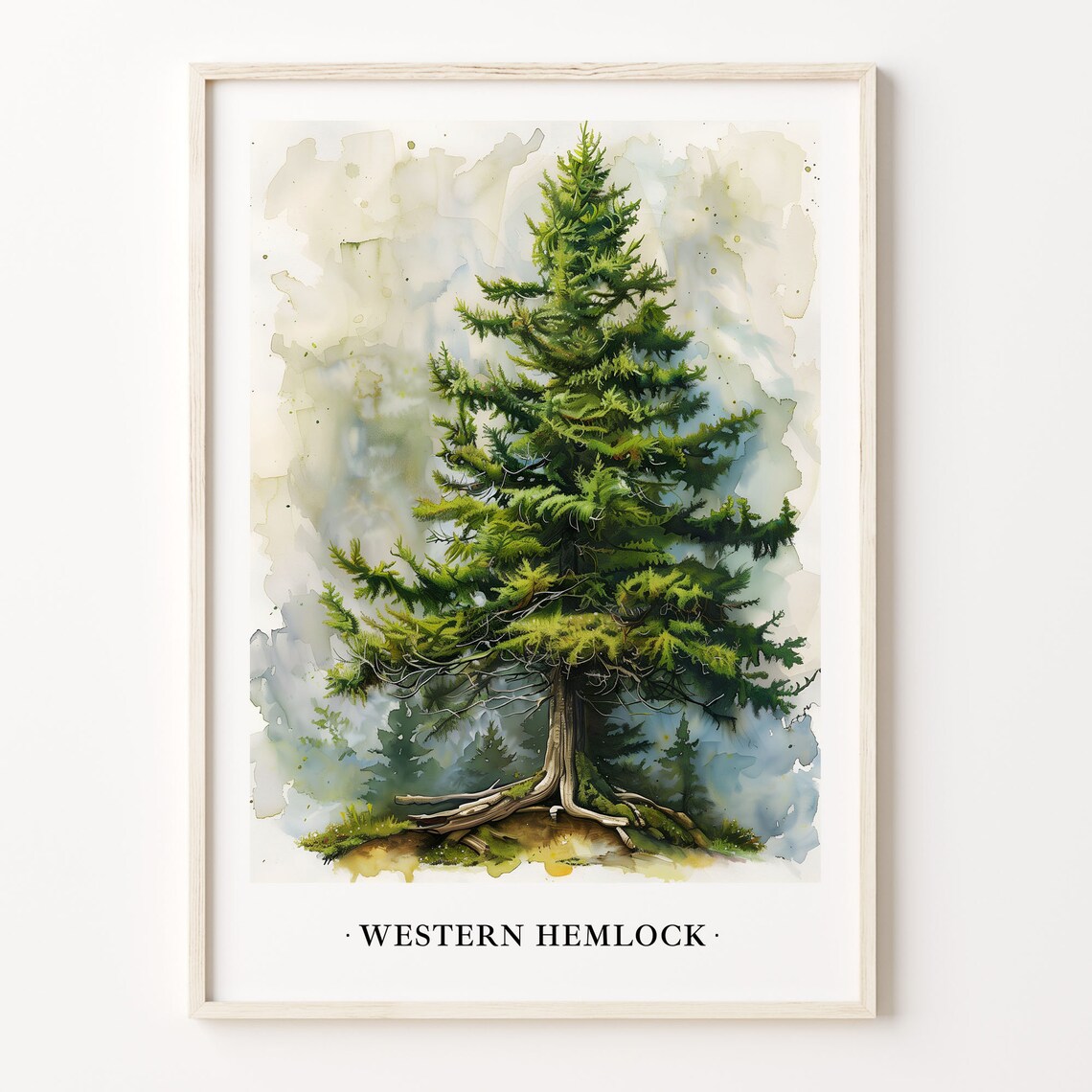 Western Hemlock Tree Art Print, Botanical Illustration